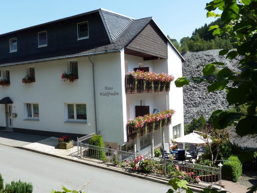 Haus Waldfrieden, Meinecardplus Inklusive Willingen (Upland)
